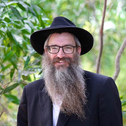 Rabbi Dror Shaul